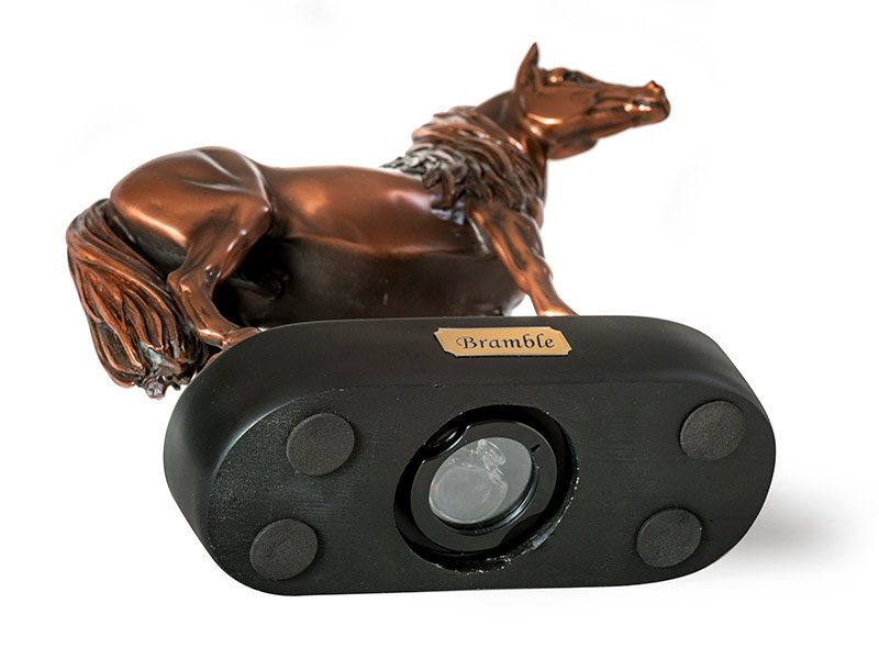 PETRIBUTES_CAST-EQUINE_PONY-BASE The Memory Capsule is a unique personalised pet ashes keepsake included or compatible with a range of our urns. It can hold a tiny quantity of ashes & small mementos such as name tag or a lock of hair or fur.