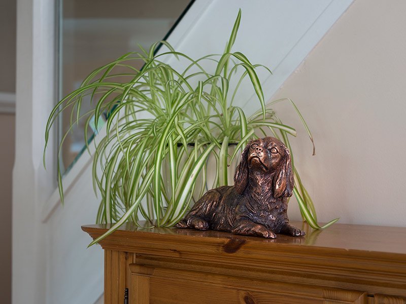 PETRIBUTES_CKCS Our lovely figurine ashes keepsake urns are so discreet and look lovely in any setting. Sculptured ornamental ashes urns caskets for pets.