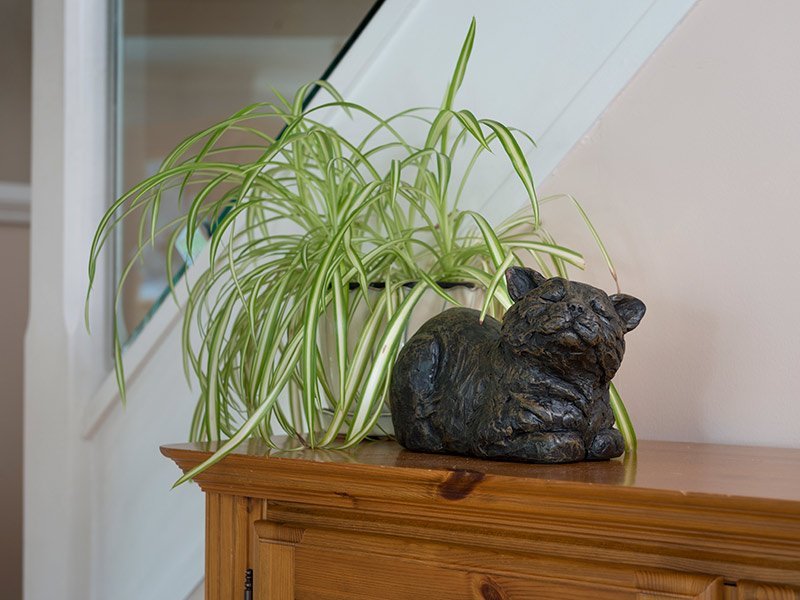 PETRIBUTES_CONTENT-CAT_03 Our lovely figurine ashes urns are so discreet and look lovely in any setting. Sculptured ornamental ashes urns caskets for pets.