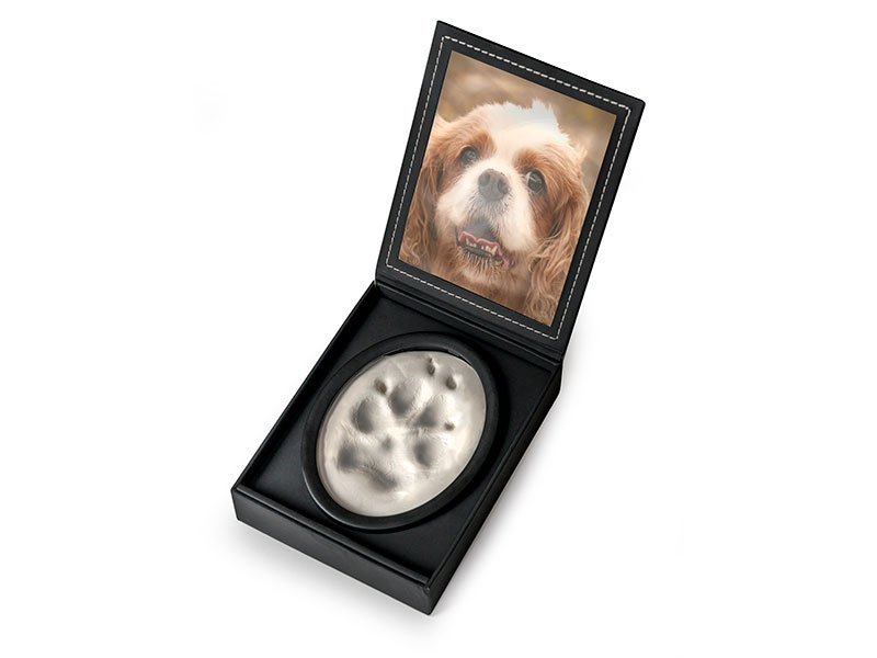 PETRIBUTES_A_LASTING_IMPRESSION_BLACK_with-photo-and-paw A Lasting Impression pawprint imprint set 3D 3-dimensional paw print keepsake in personalisable photo display case. Soft, non-toxic air-dry impression material. Keepsake photo memorial for pets.