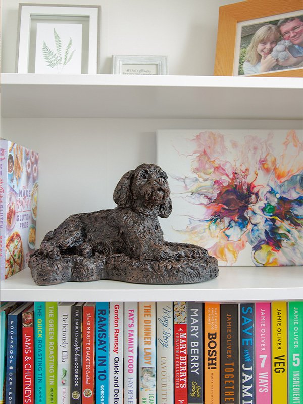 Cockapoo-18