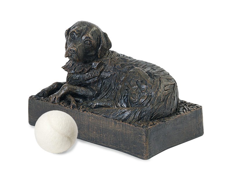 GOLDEN-RETRIEVER01