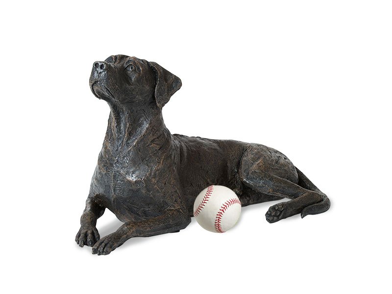 PETRIBUTES_CAST-RIDGEBACK_01-with-baseball