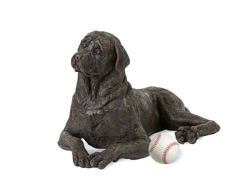 PETRIBUTES_CAST-ROTTWEILER_03-with-ball