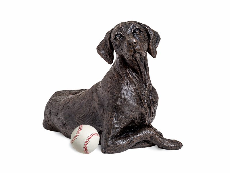 PETRIBUTES_CAST_POINTER_01-with-baseball