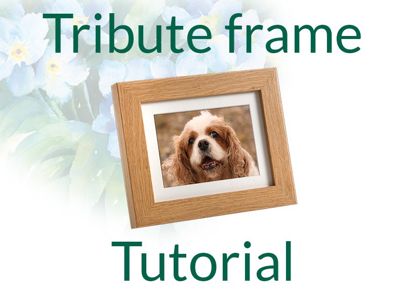 gallery thumb